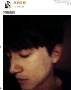 在我无码视频,一场视觉盛宴的揭秘之旅