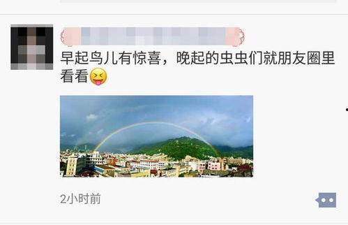 彩虹爆料视频大全最新一期,精彩内容抢先看